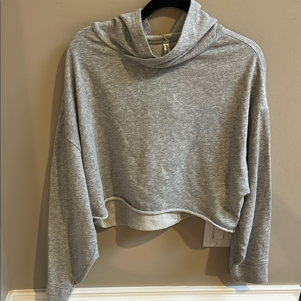 Fabletics Gray Cropped Hoodie Sweatshirt Size Medium